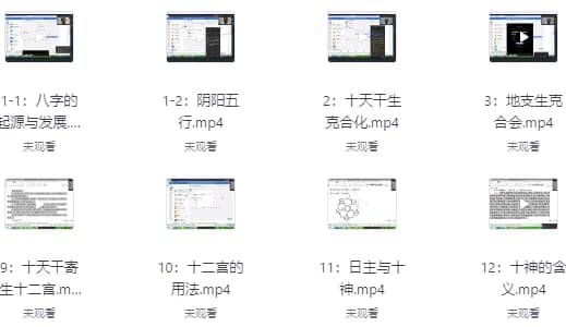 刁吉祥八字初中高级课程-副业项目资源网