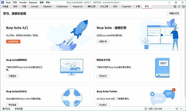 Burp Suite(Web应用安全测试工具) Professional 2025.7 汉化绿色版-副业项目资源网