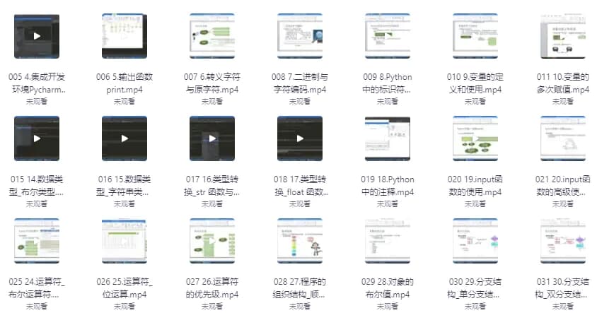 杨淑娟《Python开发入门教程》-副业项目资源网