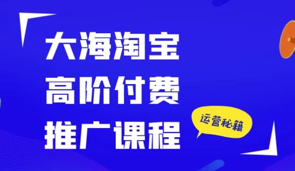大海淘宝高阶付费推广课程-副业项目资源网