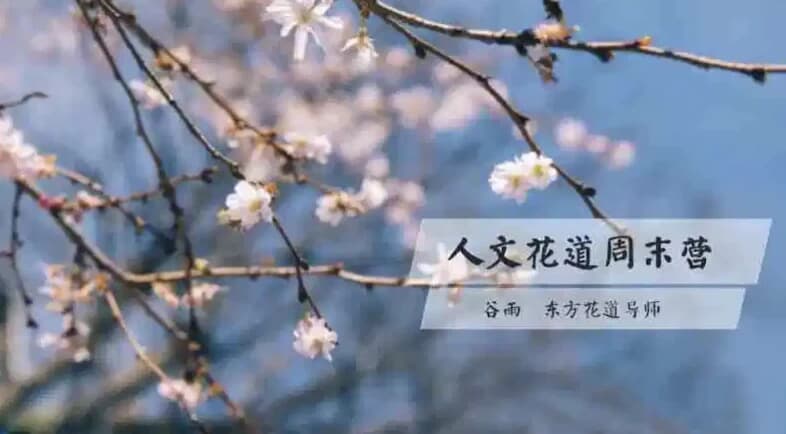 人文花道美学营-副业项目资源网