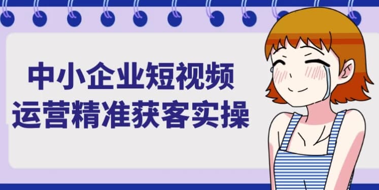 中小企业短视频运营精准获客实操-副业项目资源网