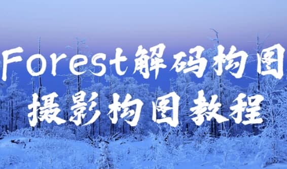 Forest解码构图摄影构图教程-副业项目资源网