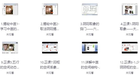 六经伤寒舌象辩证教程-副业项目资源网