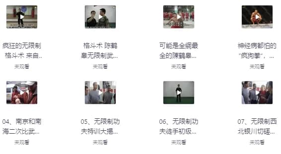 陈鹤皋“无限制格斗”实战训练视频-副业项目资源网