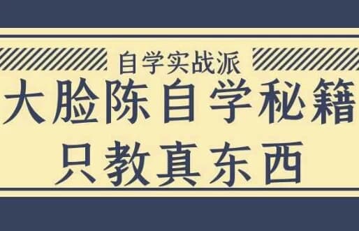 大脸陈自学秘籍只教真东西-副业项目资源网