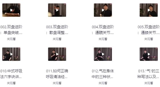 14天养元筑基进阶训练营-副业项目资源网