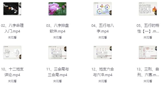 赵奕臻子平之法精英篇-副业项目资源网