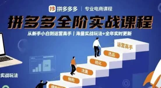 大炮拼多多全阶实战课程，从新手小白到运营高手，海量实战玩法+全年实时更新【2025年9月更新】-副业项目资源网