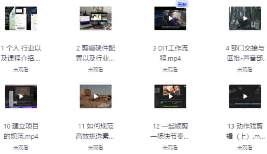 莱尼日记影视剪辑全流程入门+短剧实战课 – 带素材-副业项目资源网