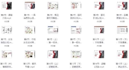 恋爱秘籍最强聊天集训营-副业项目资源网
