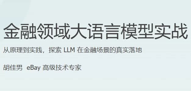 金融领域大语言模型实战-副业项目资源网