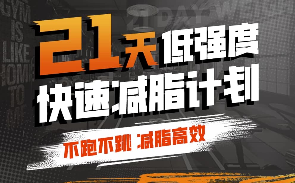 猫叔21天低强度，无跑跳高效减脂-副业项目资源网
