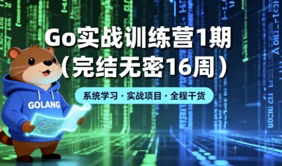 Go 实战训练营1期（完结无密16周）-副业项目资源网