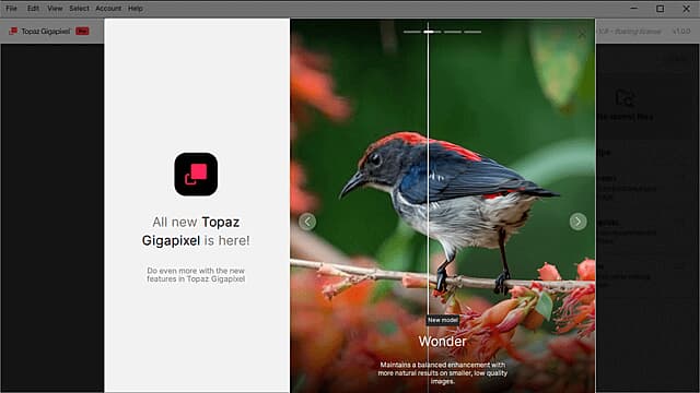 Topaz Gigapixel(图像超分辨率软件) Pro v1.0.2 直装破解版-副业项目资源网