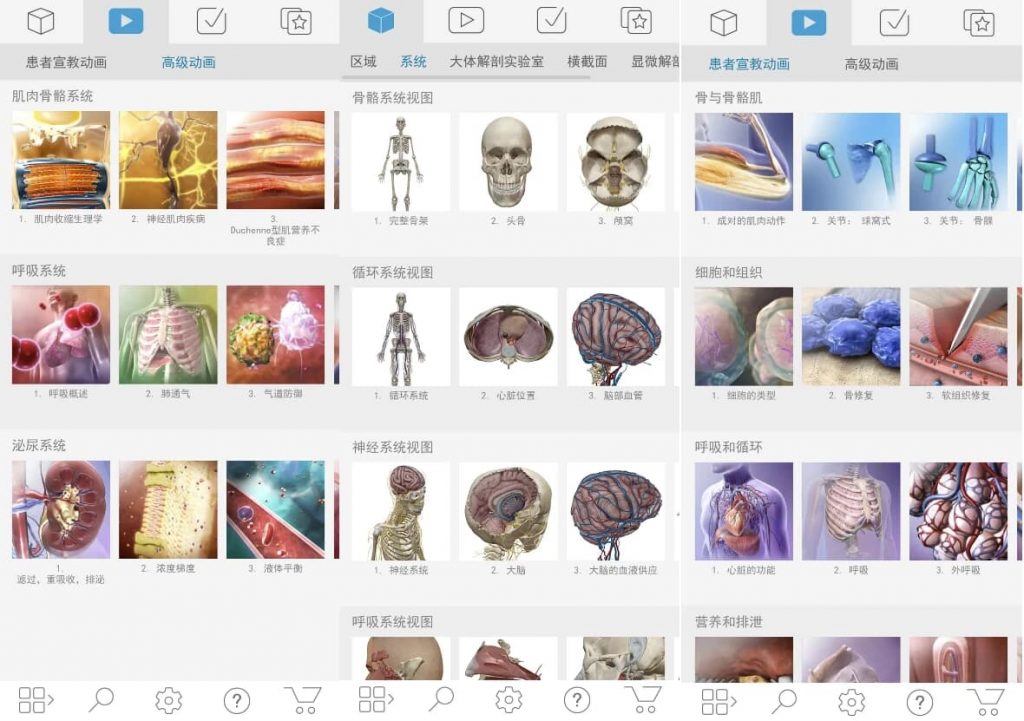 Atlas 人体解剖学图谱 v2026.00.019 高级版-副业项目资源网