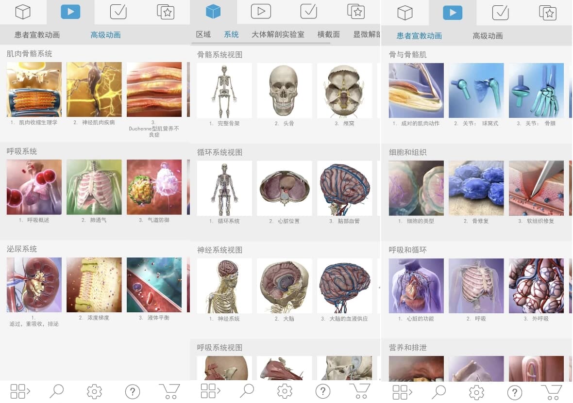Atlas 人体解剖学图谱 v2026.00.019 高级版-副业项目资源网