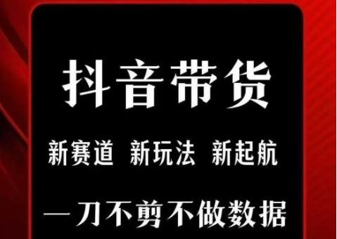 抖音短视频一刀不剪带货，不剪辑，不直播，每天发个视频，等着出单获取带货佣金-92资源网