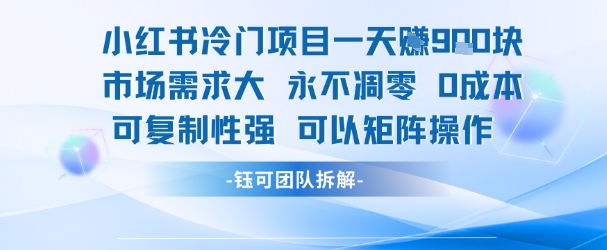 小红书冷门项目一天收益9张，市场需求大，0成本，可复制性强可以矩阵操作-副业项目资源网