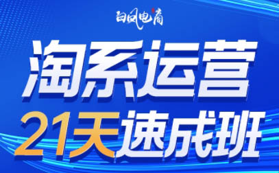 白凤电商·淘系运营21天速成班(更新7月)-副业项目资源网