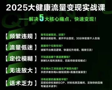 大健康流量全域新增长8.0，三月底线下课视频，大健康万亿蓝海，从类目突围到模式迭代-副业项目资源网