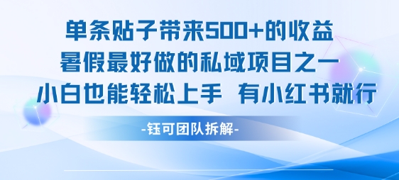 单条贴子带来5张的收益，暑假最好做的私域项目之一，小白也能轻松上手，有小红书就行-副业项目资源网