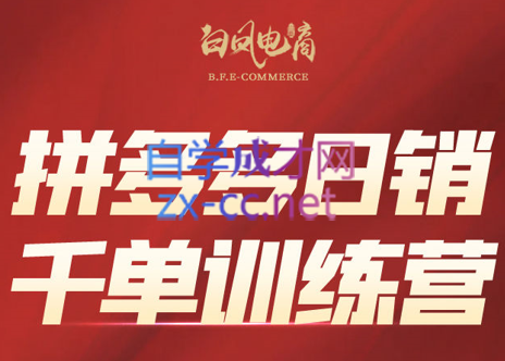 白凤电商·拼多多日销千单训练营(更新7月)-副业项目资源网