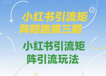小红书引流矩阵陪跑第三期，小红书引流矩阵引流玩法-副业项目资源网