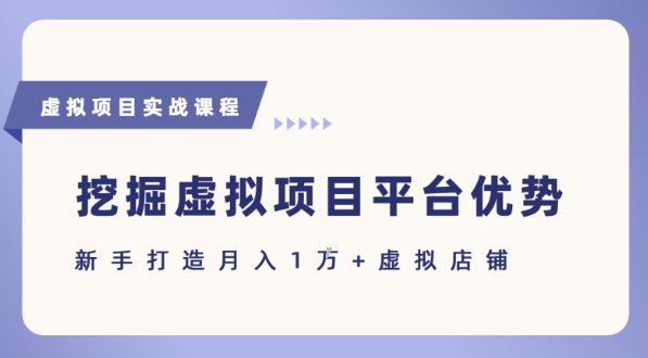 抓住虚拟项目各平台优势，新手轻松月入1W+(给出具体建议)-副业项目资源网