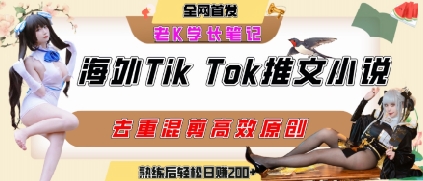 海外tiktok小说推文暴力项目，高停留率，高转化率，上手后一天搞顿饭钱不是问题-副业项目资源网
