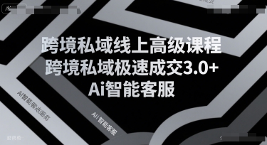 跨境私域线上高级课程，跨境私域极速成交3.0+Ai智能客服-副业项目资源网