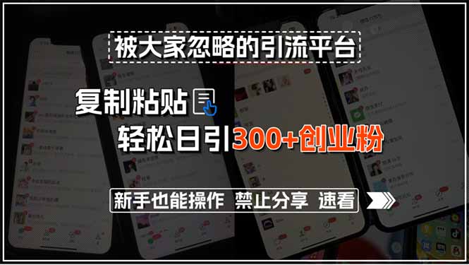 被大家忽略的引流平台，复制粘贴轻松日引300+创业粉，新手也能操作，禁…-副业项目资源网