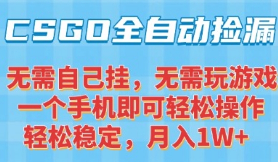 CSGO自动捡漏项目，最新独家玩法，一个手机可操作，新手小白轻松月入1W+，操作简单易上手【揭秘】-副业项目资源网
