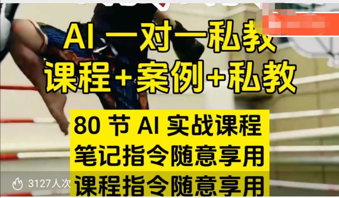 AI指令实战课，课程+案例，80节AI实战课程，笔记指令随意享用，课程指令随意享用(更新7月)-副业项目资源网