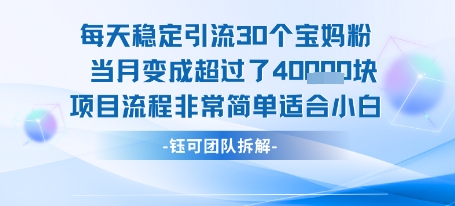 每天稳定引流30个人 当月变成超过了4个W项目流程非常简单适合小白-副业项目资源网