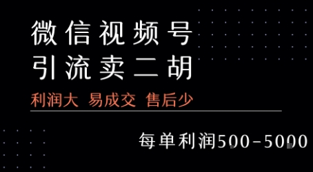 视频号卖二胡教程，利润大 易成交 售后少，一单利润5张+-副业项目资源网