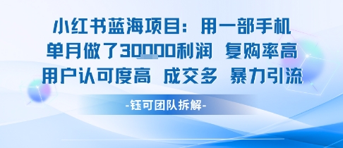 小红书蓝海项目，一部手机单月做了3W利润，小白也能月入过1W用户认可度高成交多-副业项目资源网
