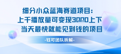 小众蓝海赛道项目：当天变现1k+适合新手操作 +适合长期玩-副业项目资源网