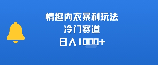 情趣内衣暴利玩法，冷门赛道，日入1k+-副业项目资源网