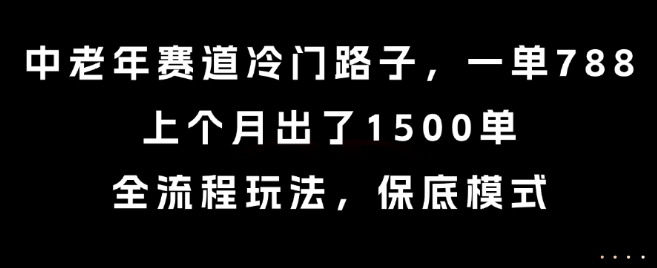 中老年赛道冷门路子，一单788，上个月出了1500单，全流程玩法，保底模式【揭秘】-副业项目资源网