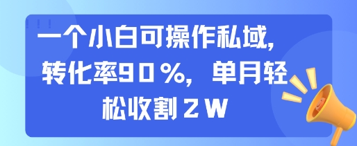一个小白可操作私域，转化率90%，单月轻松收割2W-副业项目资源网