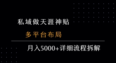 私域做天涯神贴 多平台布局 月入5k+详细流程拆解-副业项目资源网
