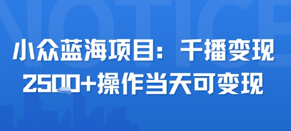 小众蓝海项目，千播变现2.5k+操作当天可变现-副业项目资源网