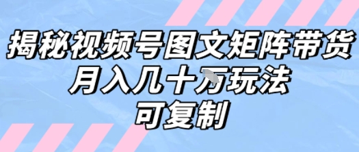 解密视频号图文矩阵带货，月入几个W的打法，可复制-副业项目资源网