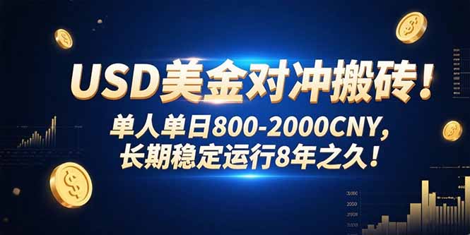 USD美金对冲搬砖!单人单日800-2000CNY，长期稳定运行8年之久!-副业项目资源网