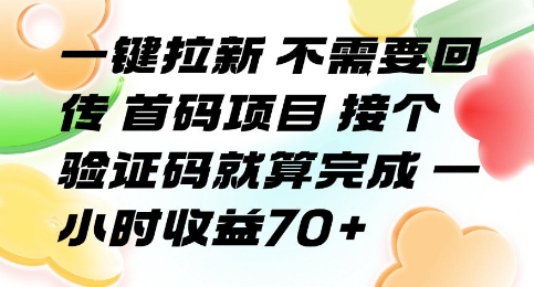 一键拉新 不需要回传 首码项目 接个验证码就算完成 一小时收益70+【揭秘】-副业项目资源网