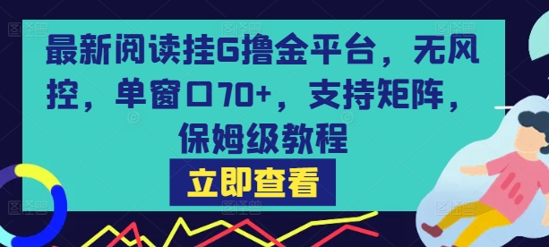 最新阅读挂G撸金平台，无风控，单窗口70+，支持矩阵，保姆级教程【揭秘】-副业项目资源网
