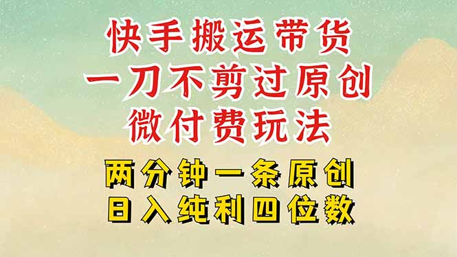 快手黑科技搬运带货，一刀不剪过原创，微付费投流玩法，轻松日入四位数…-副业项目资源网