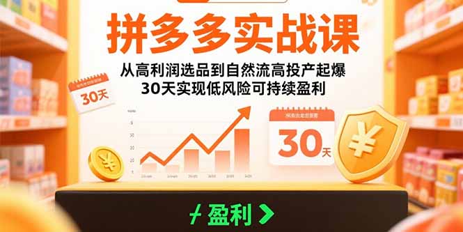 拼多多实战课：从高利润选品到自然流高投产起爆 30天实现低风险可持续盈利-副业项目资源网