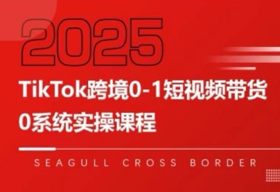 大亿老师·TikTok跨境0-1短视频带货-副业项目资源网